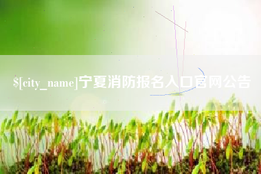 铁岭宁夏消防报名入口官网公告