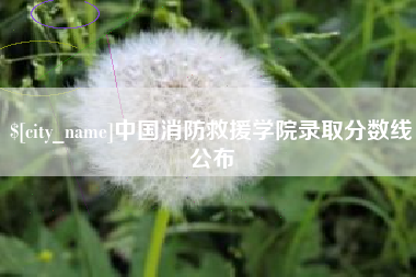 铁岭中国消防救援学院录取分数线公布