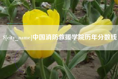 铁岭中国消防救援学院历年分数线
