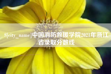 铁岭中国消防救援学院2021年浙江省录取分数线
