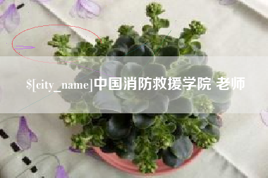 铁岭中国消防救援学院 老师