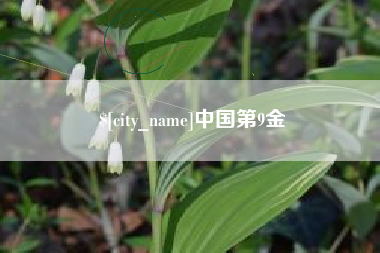铁岭中国第9金