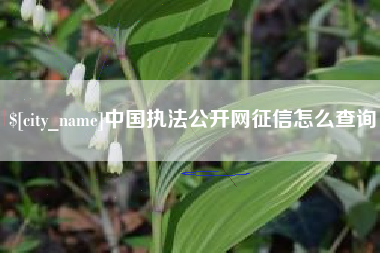 铁岭中国执法公开网征信怎么查询
