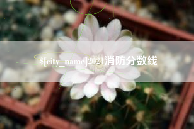 铁岭2021消防分数线