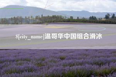 铁岭温哥华中国组合滑冰