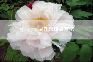 铁岭九宫排盘方法