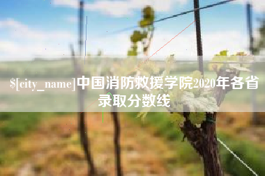 铁岭中国消防救援学院2020年各省录取分数线