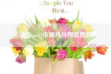 铁岭中国执行网信息官网