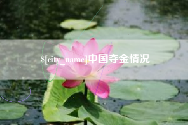 铁岭中国夺金情况