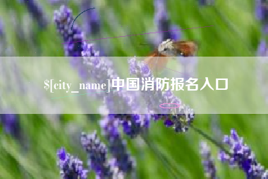 铁岭中国消防报名入口