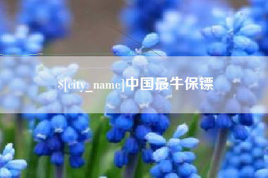 铁岭中国最牛保镖