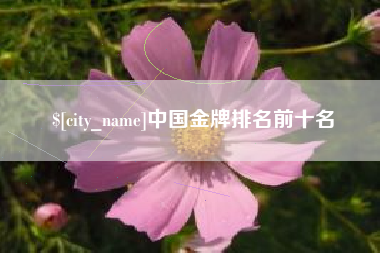 铁岭中国金牌排名前十名
