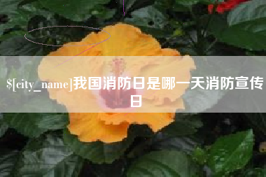 铁岭我国消防日是哪一天消防宣传日