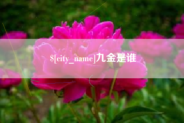 铁岭九金是谁