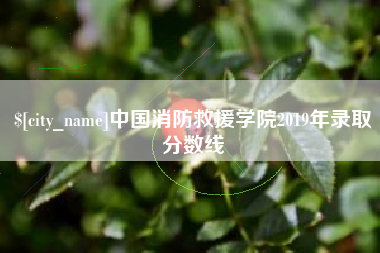 铁岭中国消防救援学院2019年录取分数线