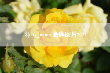 铁岭金牌图片2021