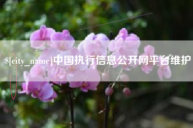 铁岭中国执行信息公开网平台维护