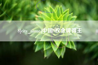 铁岭中国9枚金牌得主