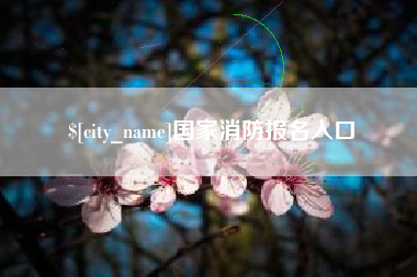 铁岭国家消防报名入口