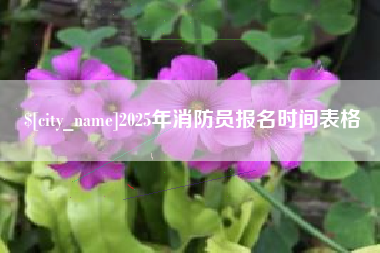 铁岭2025年消防员报名时间表格