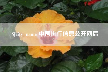 铁岭中国执行信息公开网后