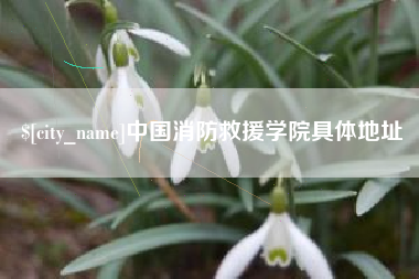 铁岭中国消防救援学院具体地址
