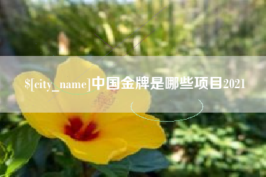 铁岭中国金牌是哪些项目2021