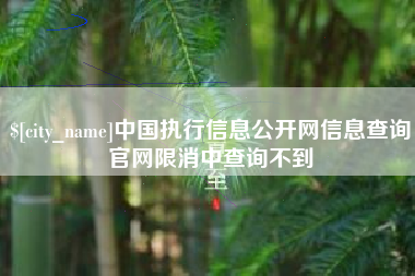 铁岭中国执行信息公开网信息查询官网限消中查询不到
