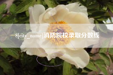 铁岭消防院校录取分数线