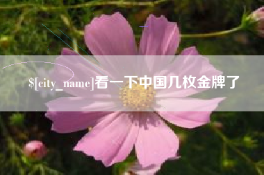 铁岭看一下中国几枚金牌了