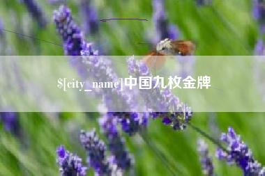铁岭中国九枚金牌