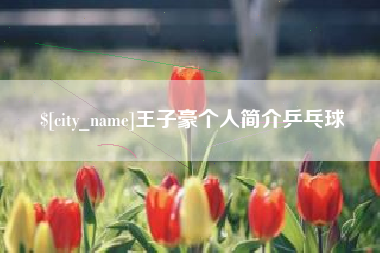 铁岭王子豪个人简介乒乓球