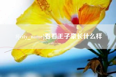 铁岭看看王子豪长什么样