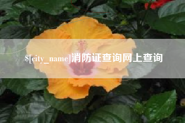 铁岭消防证查询网上查询