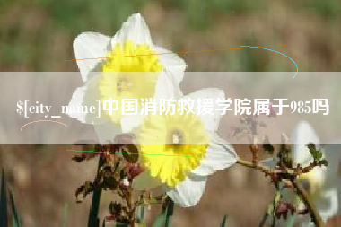 铁岭中国消防救援学院属于985吗