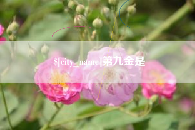 铁岭第九金是