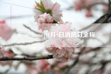铁岭11月9日消防日全称
