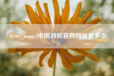 铁岭中国消防官网网址是多少