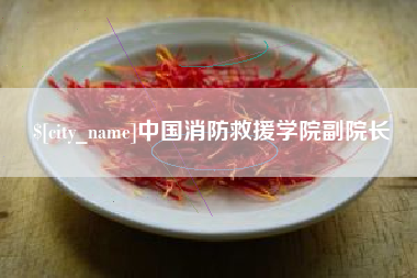 铁岭中国消防救援学院副院长