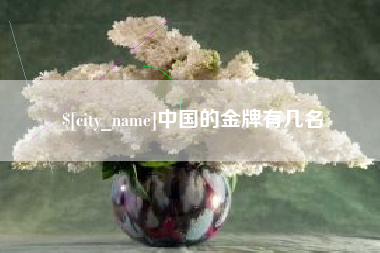 铁岭中国的金牌有几名