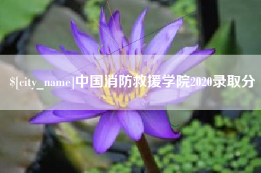 铁岭中国消防救援学院2020录取分