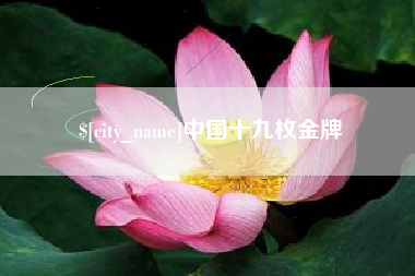 铁岭中国十九枚金牌