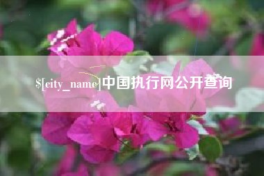 铁岭中国执行网公开查询