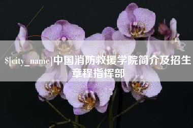 铁岭中国消防救援学院简介及招生章程指挥部