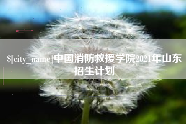 铁岭中国消防救援学院2021年山东招生计划