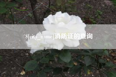 铁岭消防证的查询