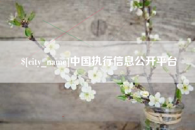 铁岭中国执行信息公开平台