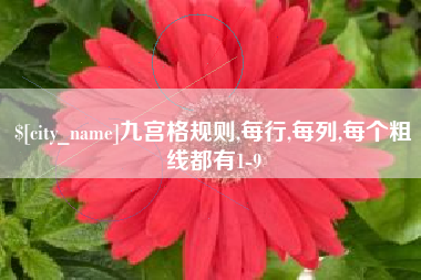 铁岭九宫格规则,每行,每列,每个粗线都有1-9