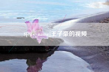 铁岭王子豪的视频