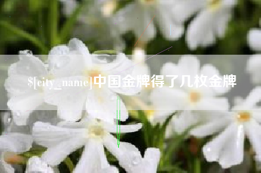 铁岭中国金牌得了几枚金牌